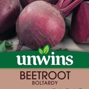Unwins Beetroot (Round) Boltardy 300 Seeds