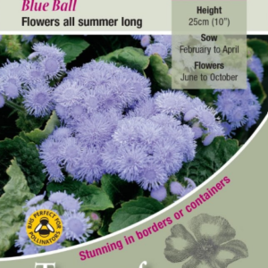 Kings Seeds Ageratum Blue Ball 500 Seeds