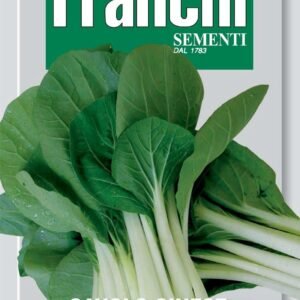Franchi Seeds of Italy Chinese Cabbage Pac Choy Seeds