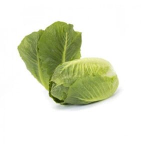Lettuce Cos Tendita RZ (41-655) Seeds