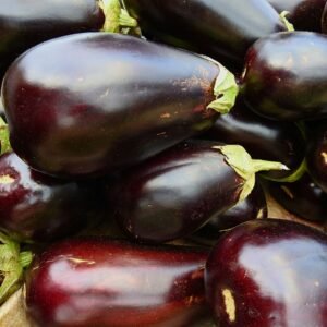 Aubergine Black Beauty Seeds