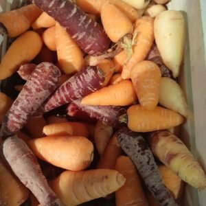 Carrot Mixed Colours Seeds