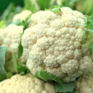 Cauliflower All Year Round Seeds