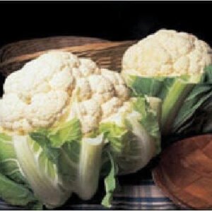 Cauliflower Autumn Giant Seeds