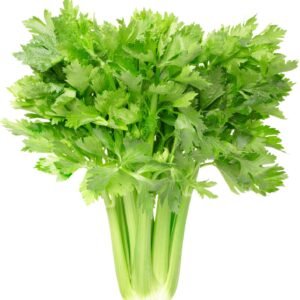 Celery Golden Self Blanching Seeds