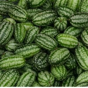 Cucamelon Seeds