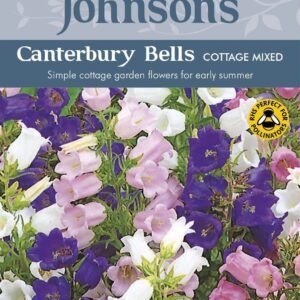 Johnsons Canterbury Bells Cottage Mixed 600 Seeds