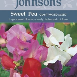 Johnsons Flower Sweet Pea Giant Waved Mixed 40 Seeds