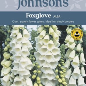 Johnsons Foxglove Alba 1000 Seeds