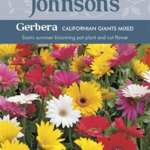 Johnsons Gerbera California Giants Mixed 25 Seeds