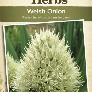 Johnsons Jekka's Herbs Welsh Onion 110 Seeds