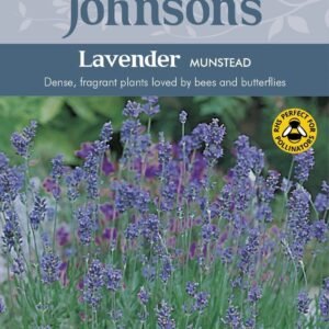 Johnsons Lavender Munstead Strain 150 Seeds
