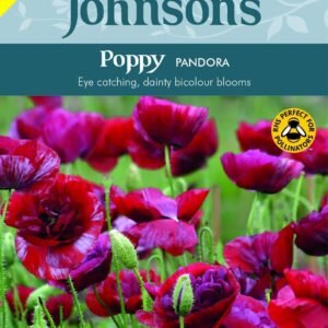 Johnsons Poppy Pandora 500 Seeds