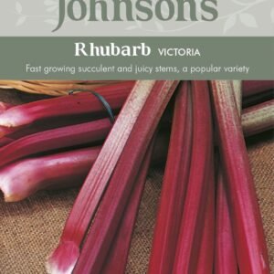 Johnsons Rhubarb Victoria 50 Seeds