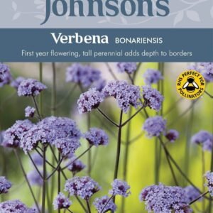 Johnsons Verbena Bonariensis 200 Seeds