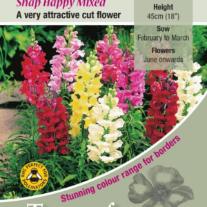 Kings Seeds Antirrhinum Snap Happy Mixed 700 Seeds
