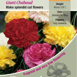 Kings Seeds Carnation Giant Chabaud 120 Seeds