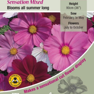 Kings Seeds Cosmos Sensation Mixed 200 Seeds