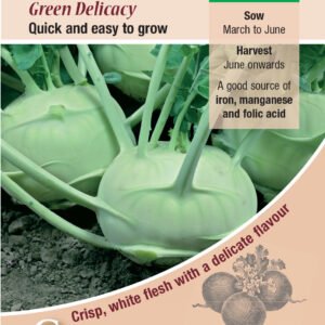 Kings Seeds Kohl Rabi Green Delicacy 500 Seeds