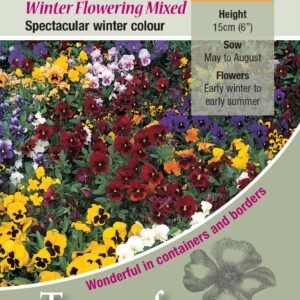 Kings Seeds Pansy Wintering Mixed 100 Seeds
