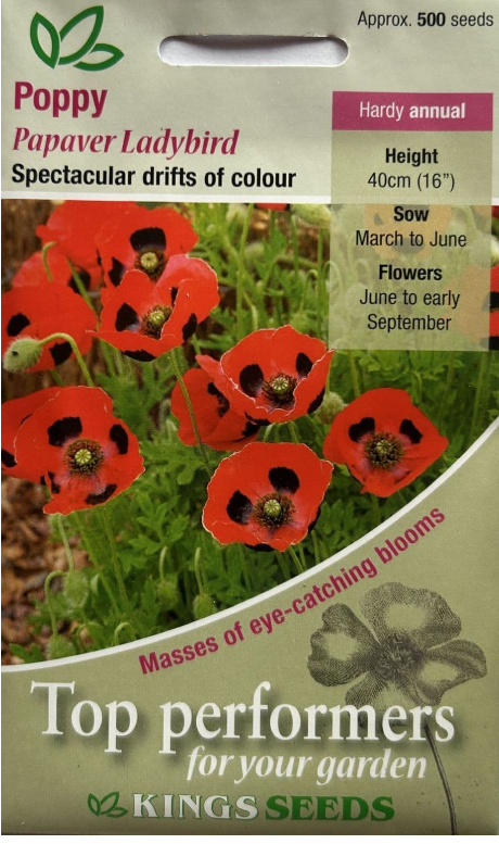 Kings Seeds Poppy Ladybird 500 Seed