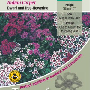 Kings Seeds Sweet William Indian Carpet 650 Seeds