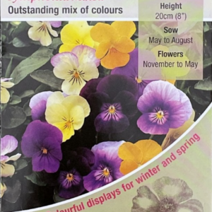 Kings Seeds Viola Symphonia Mixed 200 Seeds