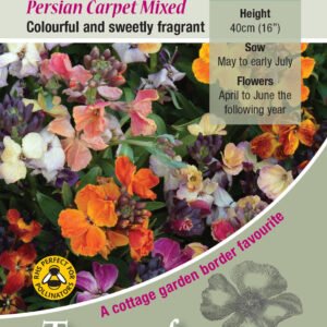 Kings Seeds Wallflower Persian Carpet Mixed 500 Seeds