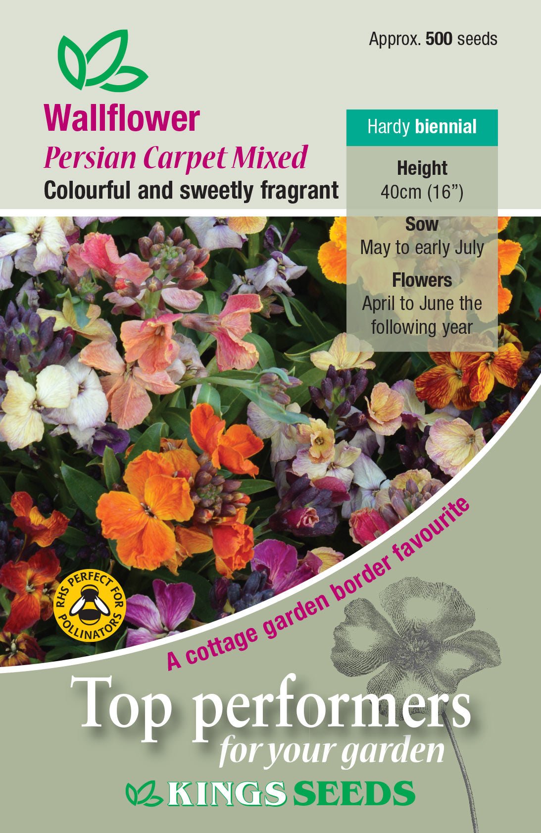 Kings Seeds Wallflower Persian Carpet Mixed 500 Seeds