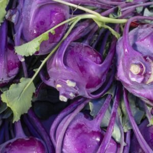 Kohl Rabi Delicacy Purple Seeds