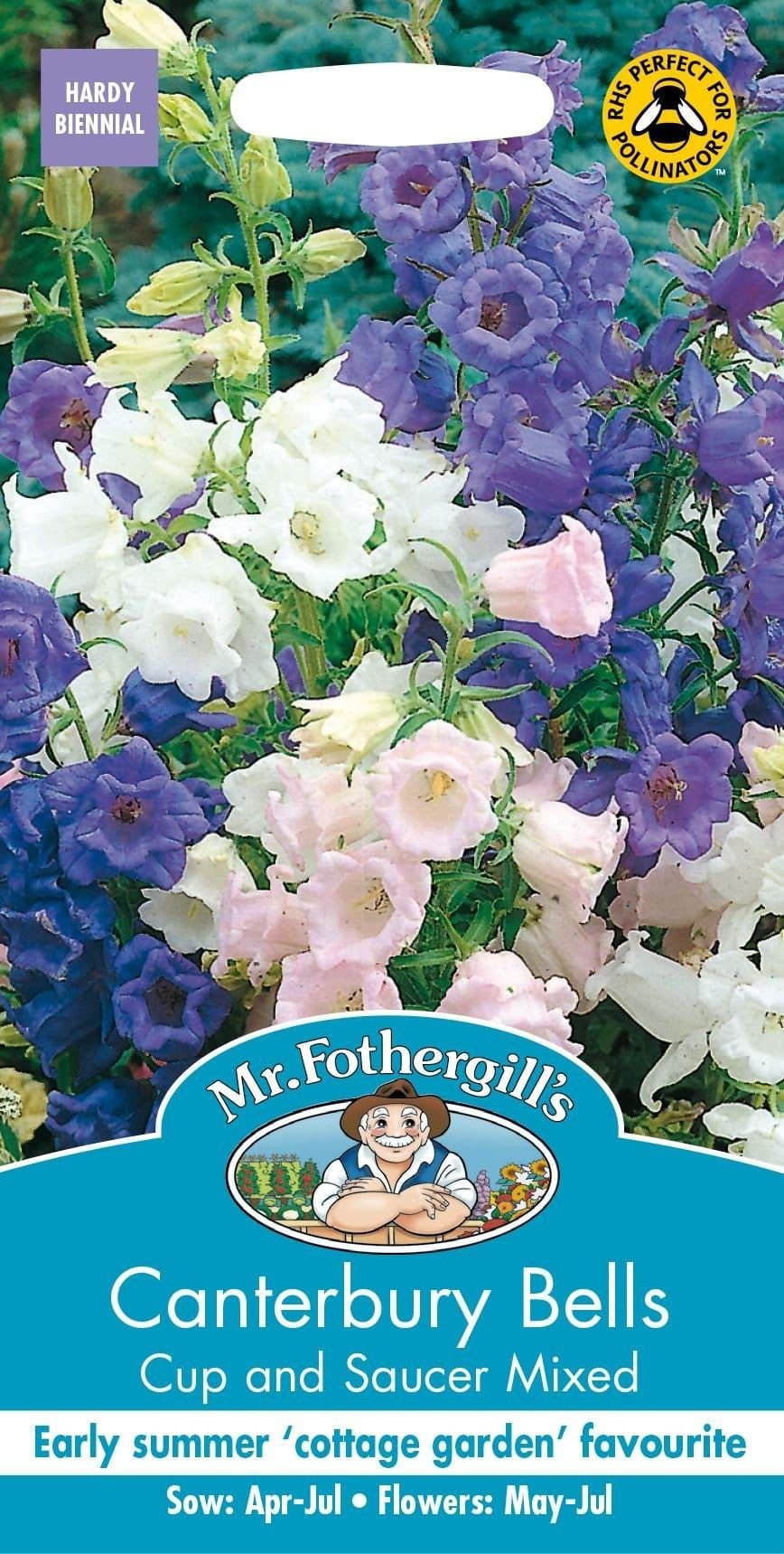 Mr Fothergills Canterbury Bells Cup & Saucer Mix 650 Seeds