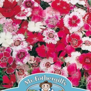 Mr Fothergills Dianthus Baby Doll Mixed 200 Seeds