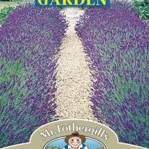 Mr Fothergills Lavender Hidcote Blue Strain 100 Seeds