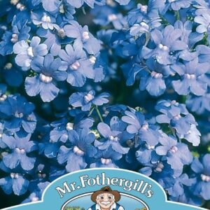 Mr Fothergills Nemesia Blue Gem 500 Seeds