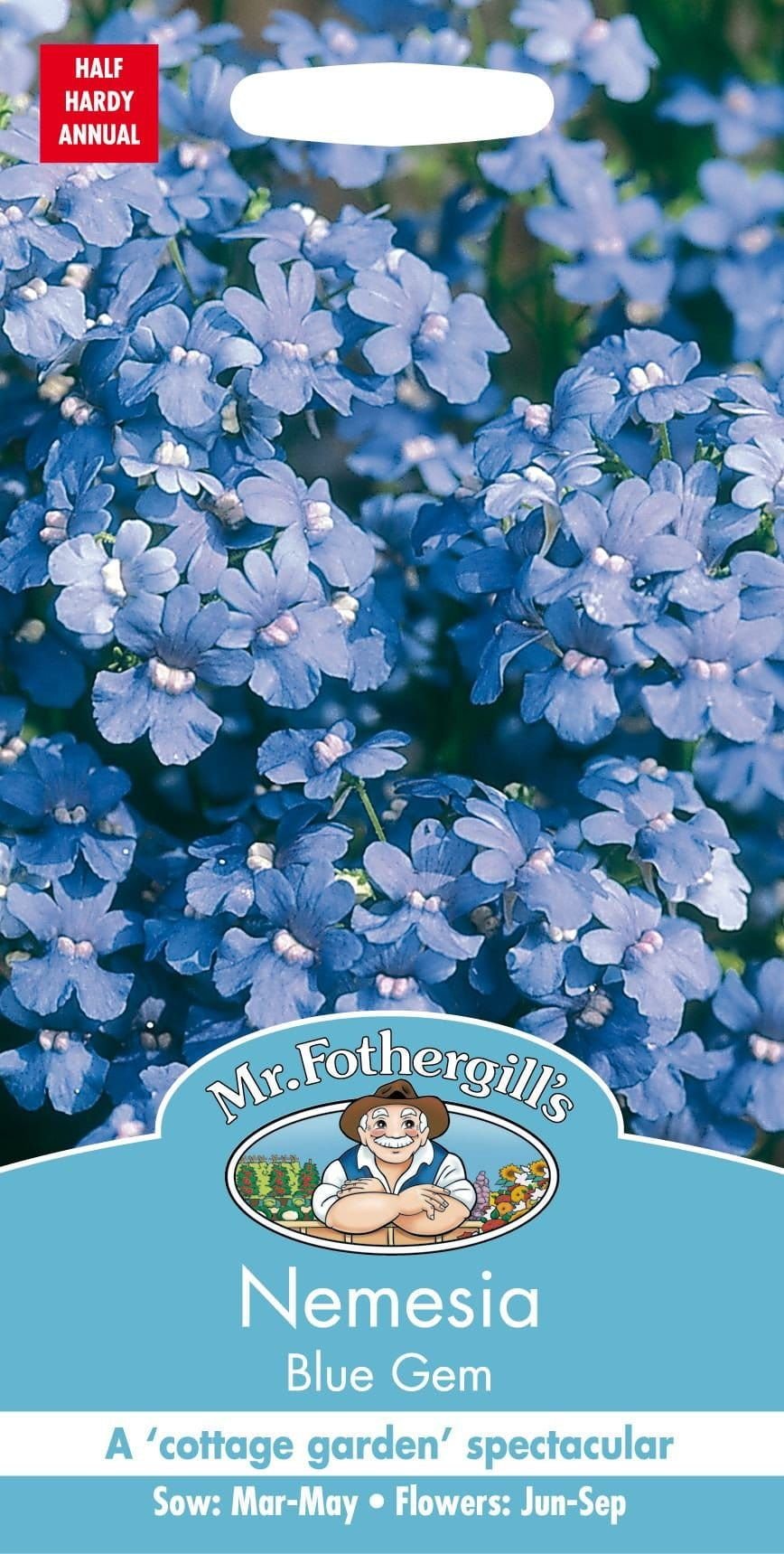 Mr Fothergills Nemesia Blue Gem 500 Seeds