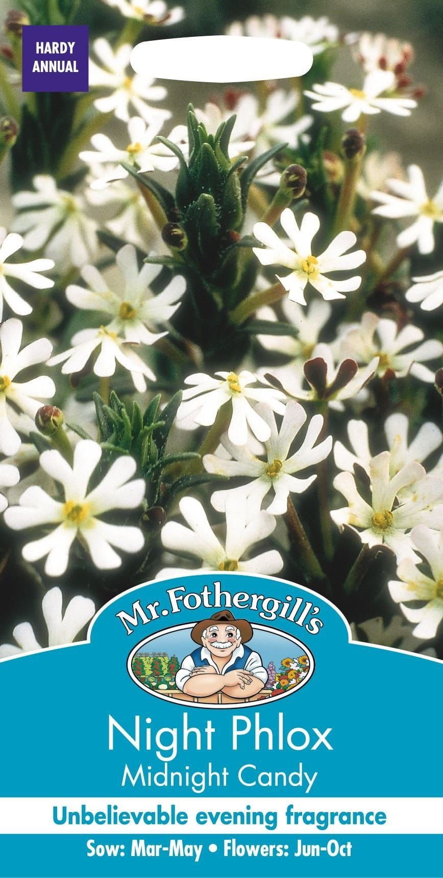 Mr Fothergills Night Phlox Midnight Candy 250 Seeds