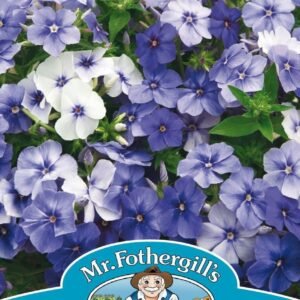 Mr Fothergills Phlox Moody Blues 175 Seeds