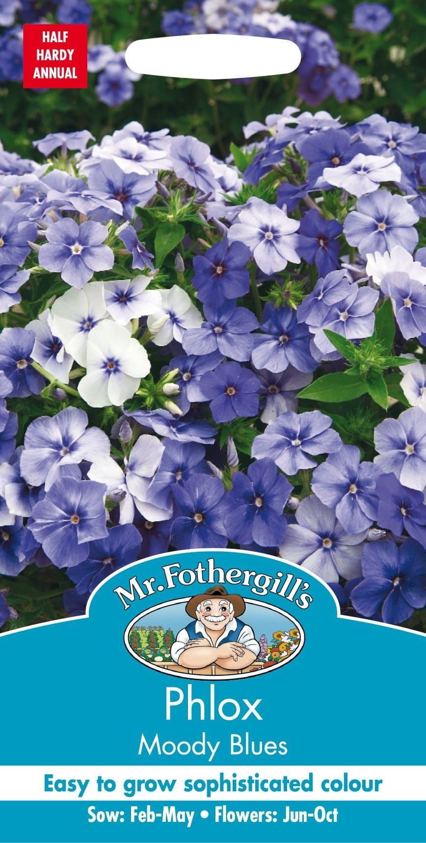 Mr Fothergills Phlox Moody Blues 175 Seeds