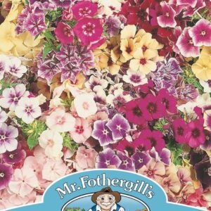 Mr Fothergills Phlox Tapestry 175 Seeds
