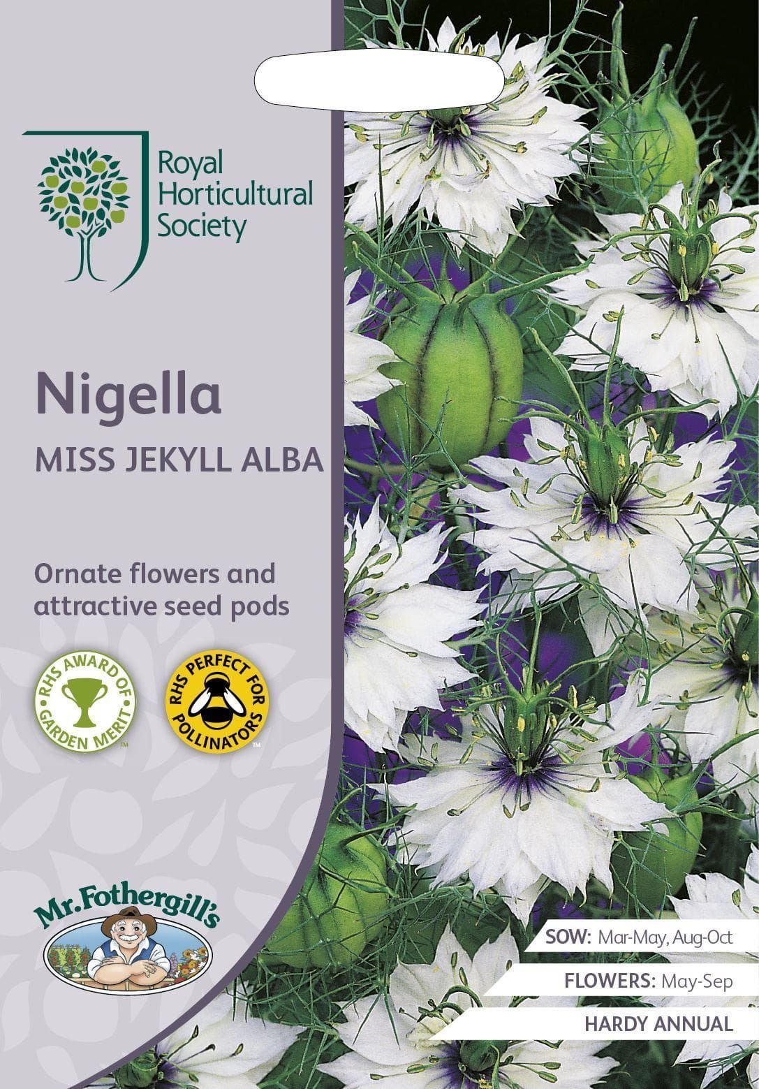 Mr Fothergills RHS Nigella Miss Jekyll Alba 700 Seeds