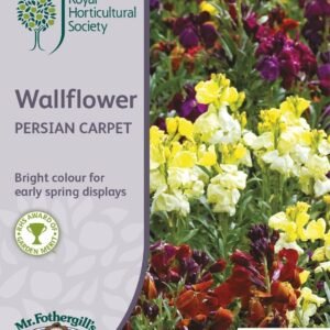 Mr Fothergills RHS Wallflower Persian Carpet 500 Seeds