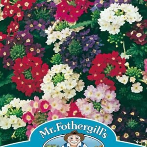 Mr Fothergills Verbena Compact Mixed 125 Seeds