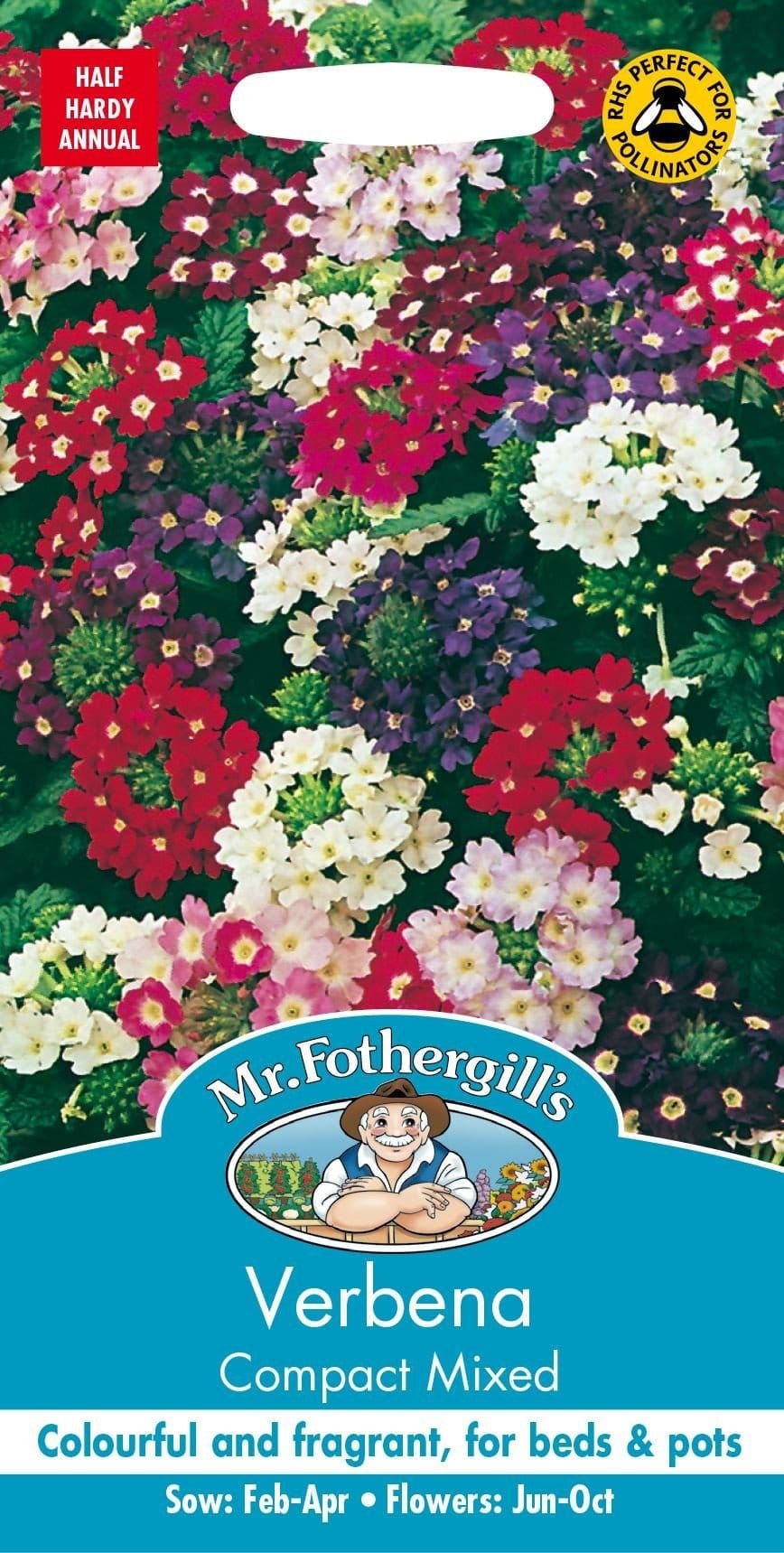 Mr Fothergills Verbena Compact Mixed 125 Seeds