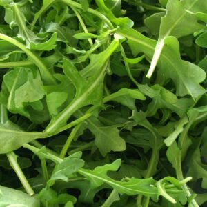 Organic Wild Rocket Seeds