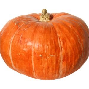 Pumpkin Hundredweight Seeds