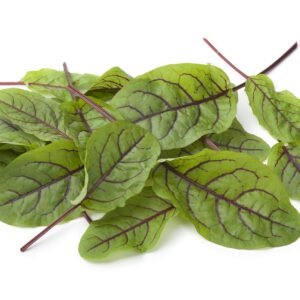 Sorrel Red Veined Seeds