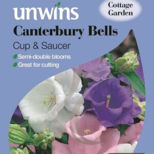 Unwins Canterbury Bells Cup & Saucer 800 Seeds