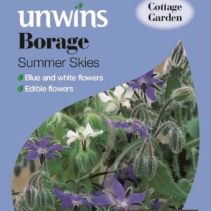 Unwins Herb Borage Summer Skies 120 Seeds