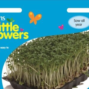 Unwins Little Growers Cress Kit 1000 Seeds