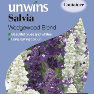Unwins Salvia Wedgewood Blend 120 Seeds